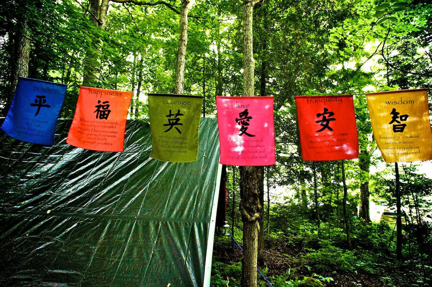flags in trees.jpg