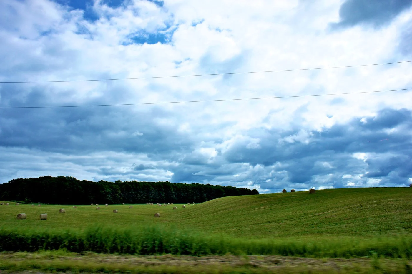 field .jpg