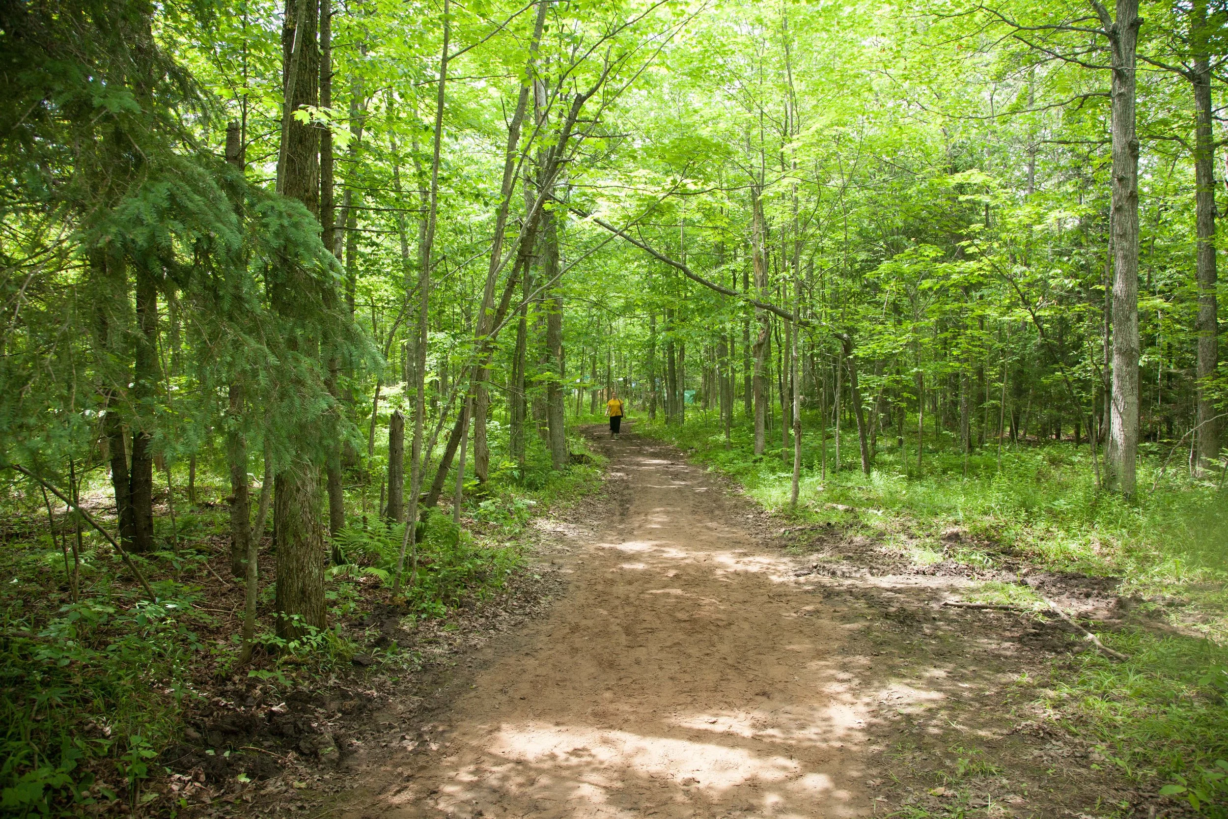 long path.jpg