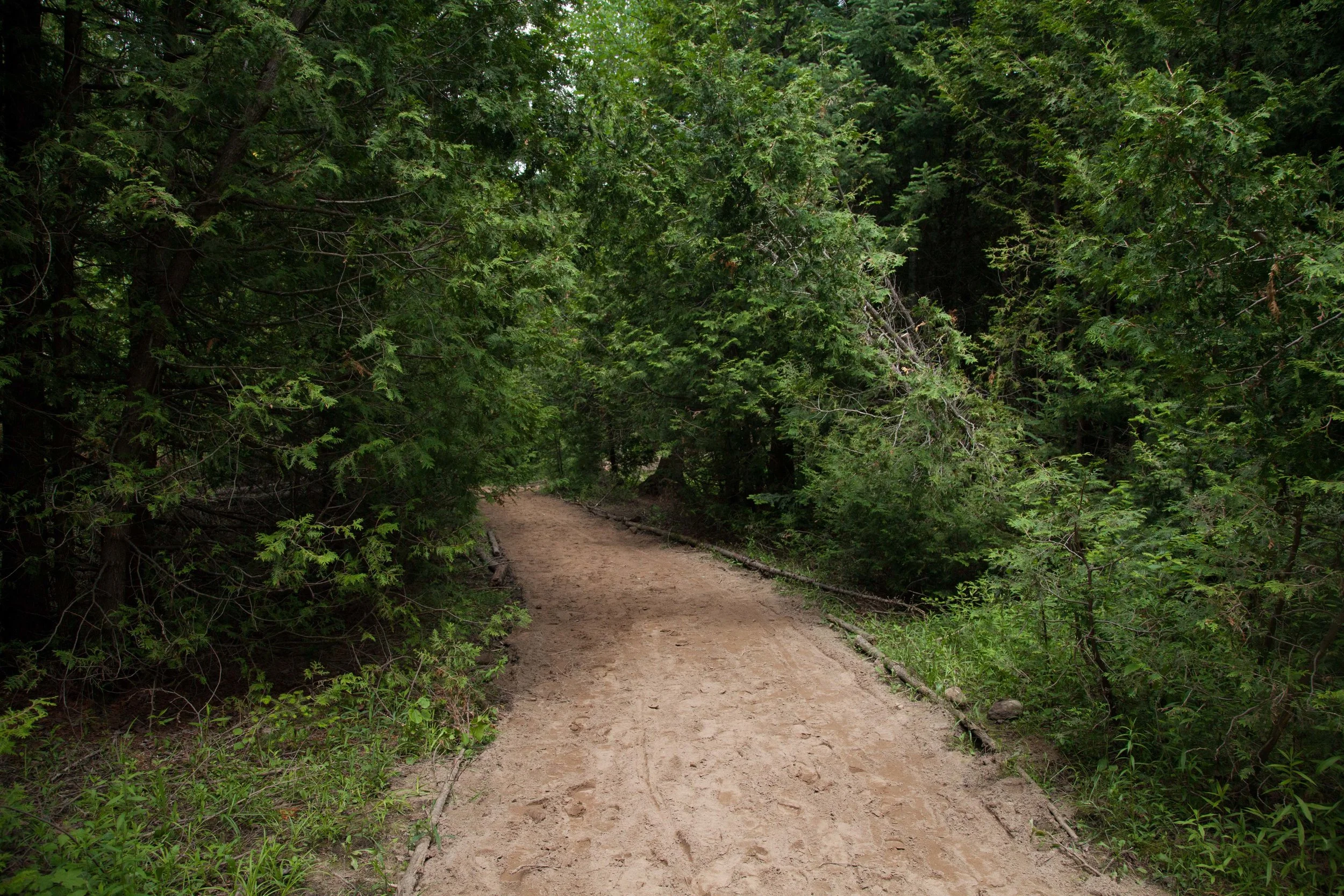 path.jpg