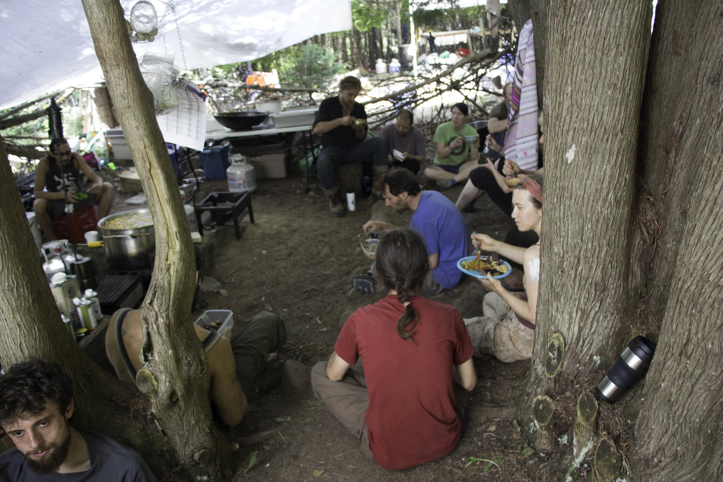 z1@solstice-4183.jpg