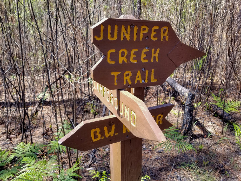 Trail Marker in the Blackwater River State Park