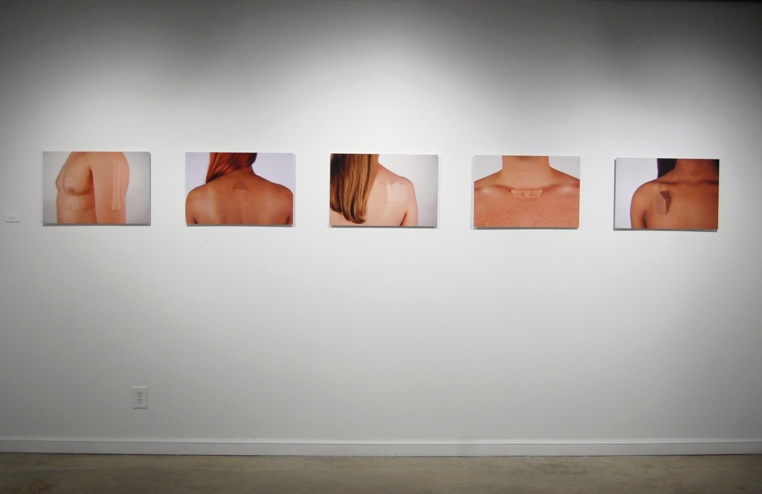  Figure 8:  Suburban Growth Series  (installation view), digital prints, 24”x16” (individual prints) 