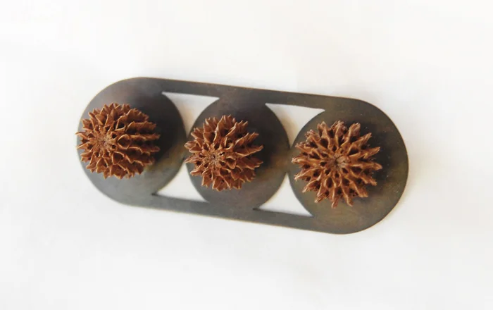 LeBrie's Brooch, Australian pine cones, copper, steel, 3" x 1¼", 2016