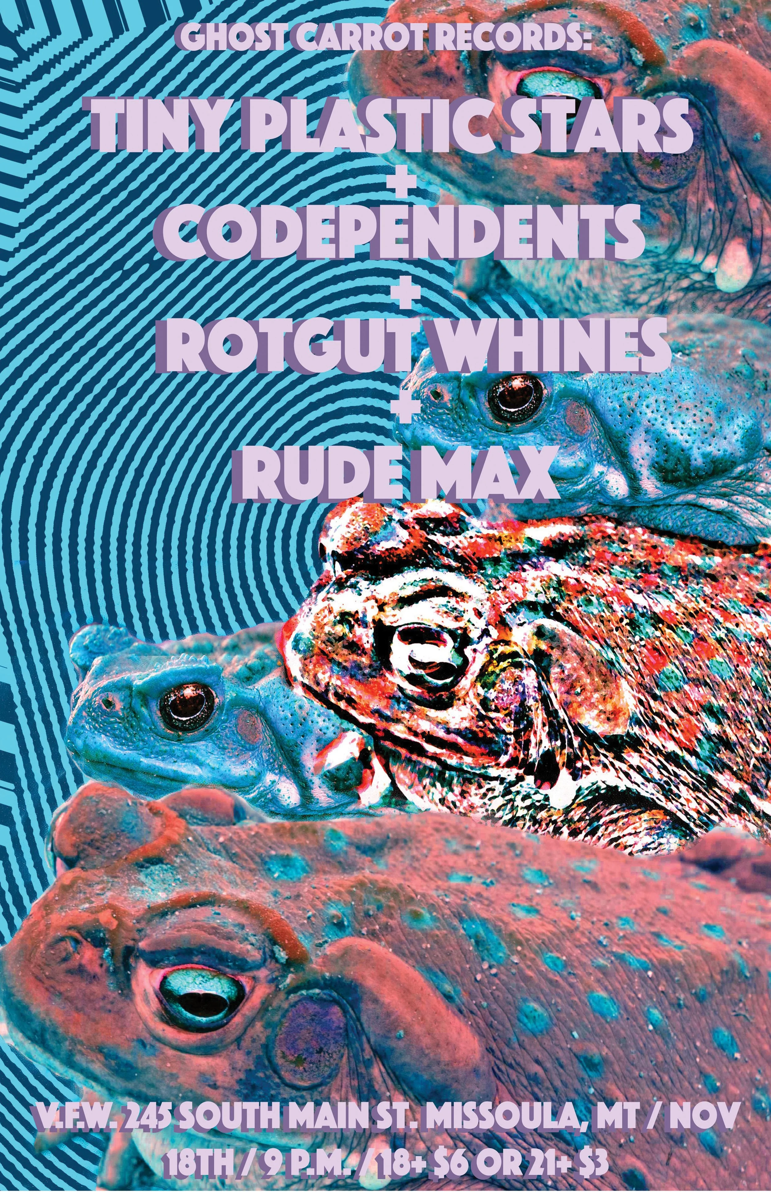 11x17 Vfw nov 9th.jpg