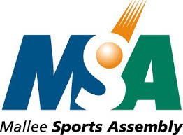 MSA logo.jpg