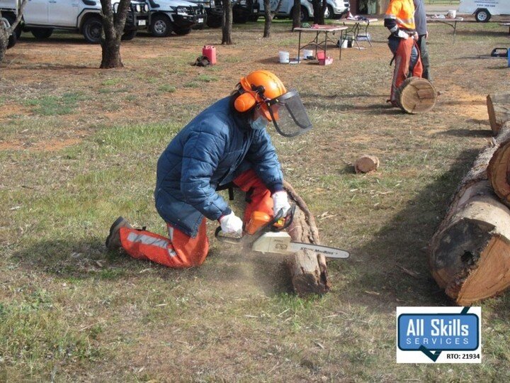 &ldquo;I grew up on a farm and have dealt with chainsaws previously. It was amazing how much I learnt in 1 day. In particular: storage and keeping of chainsaw, technique and posture when cutting, and the plunge cut was a new cut for me. Thank you!&rd