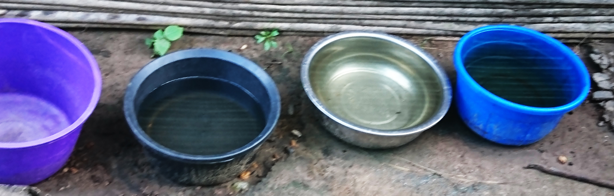 Rain water collected in pans