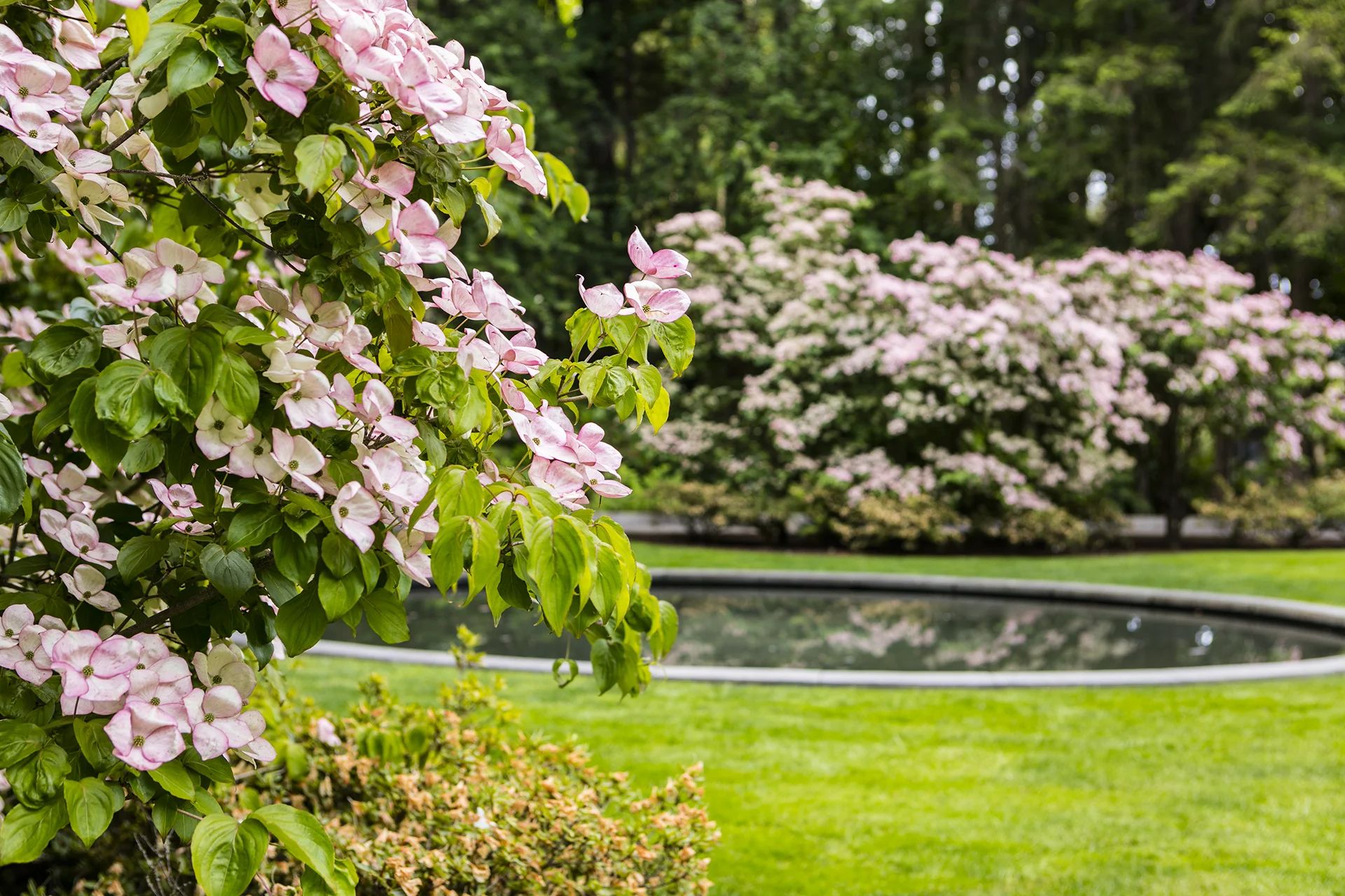 Bainbridge-20180608_greenbank_011_1920x1280.jpg