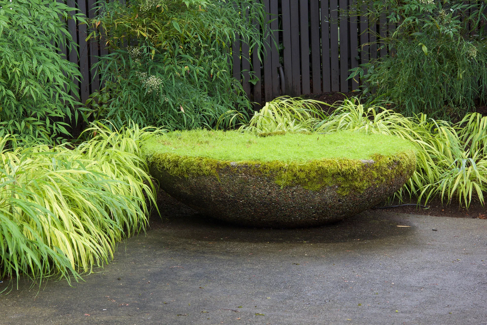 Seward-Park_Moss pot_1920x1280.jpg
