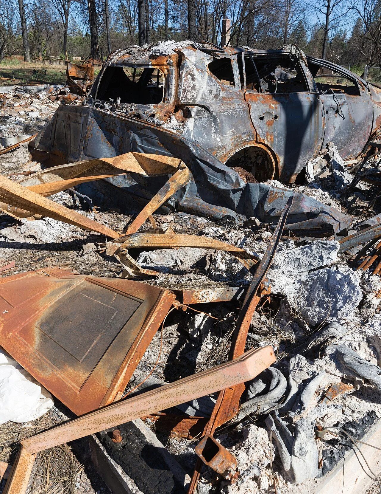 Paradise_after_the_Camp_Fire,_July_2019-7431.jpg
