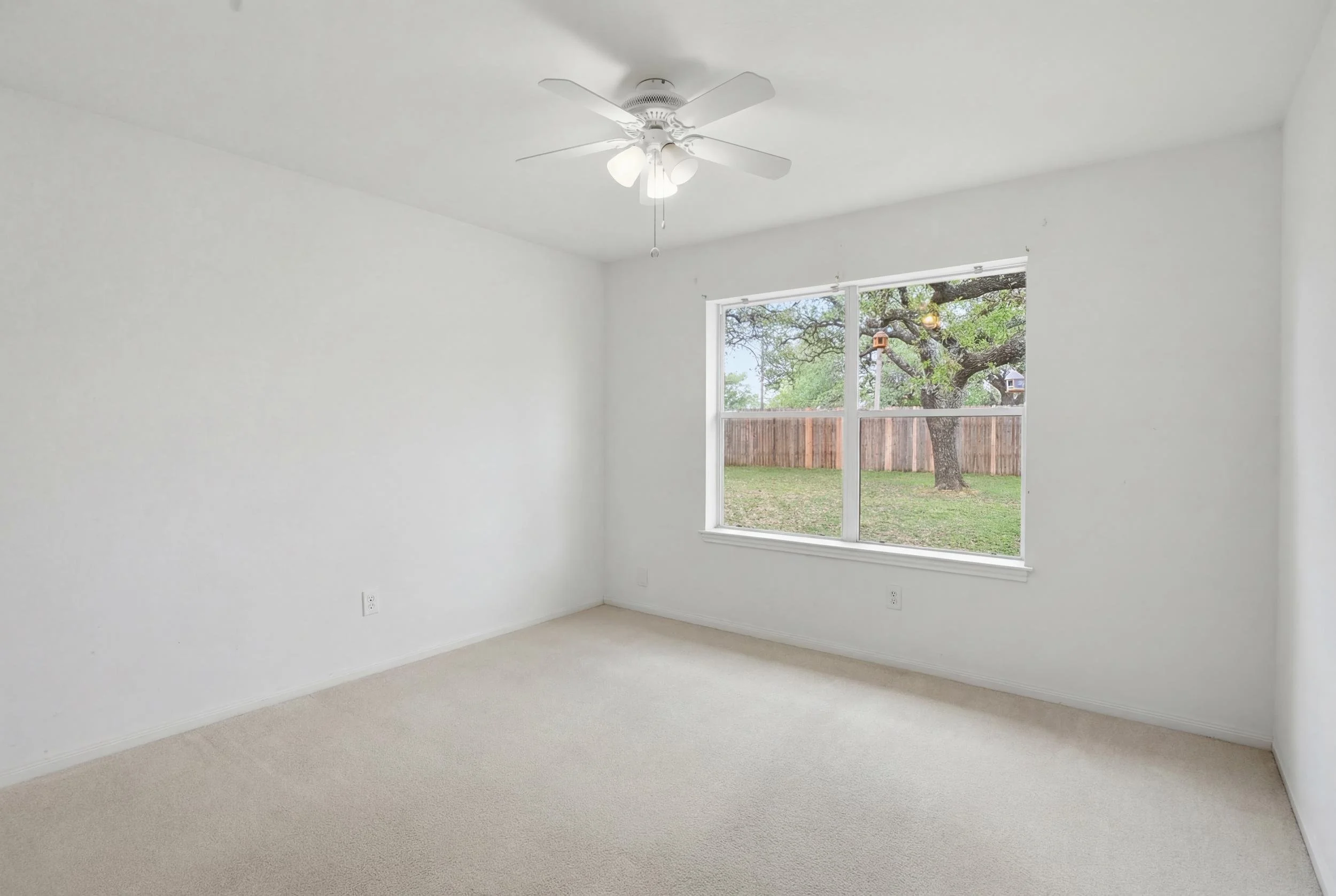 26_img_0100 (170)_reedit_dbbe2c3f.jpg