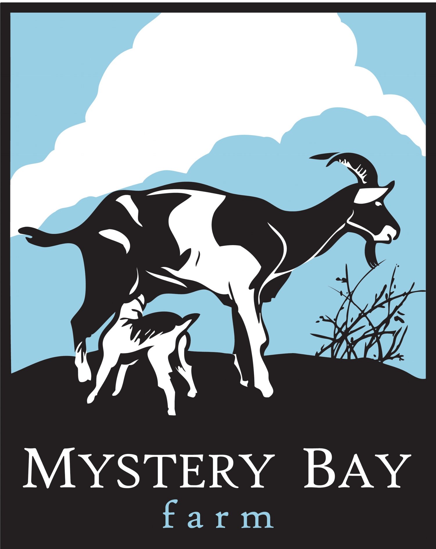 Mystery Bay Farm