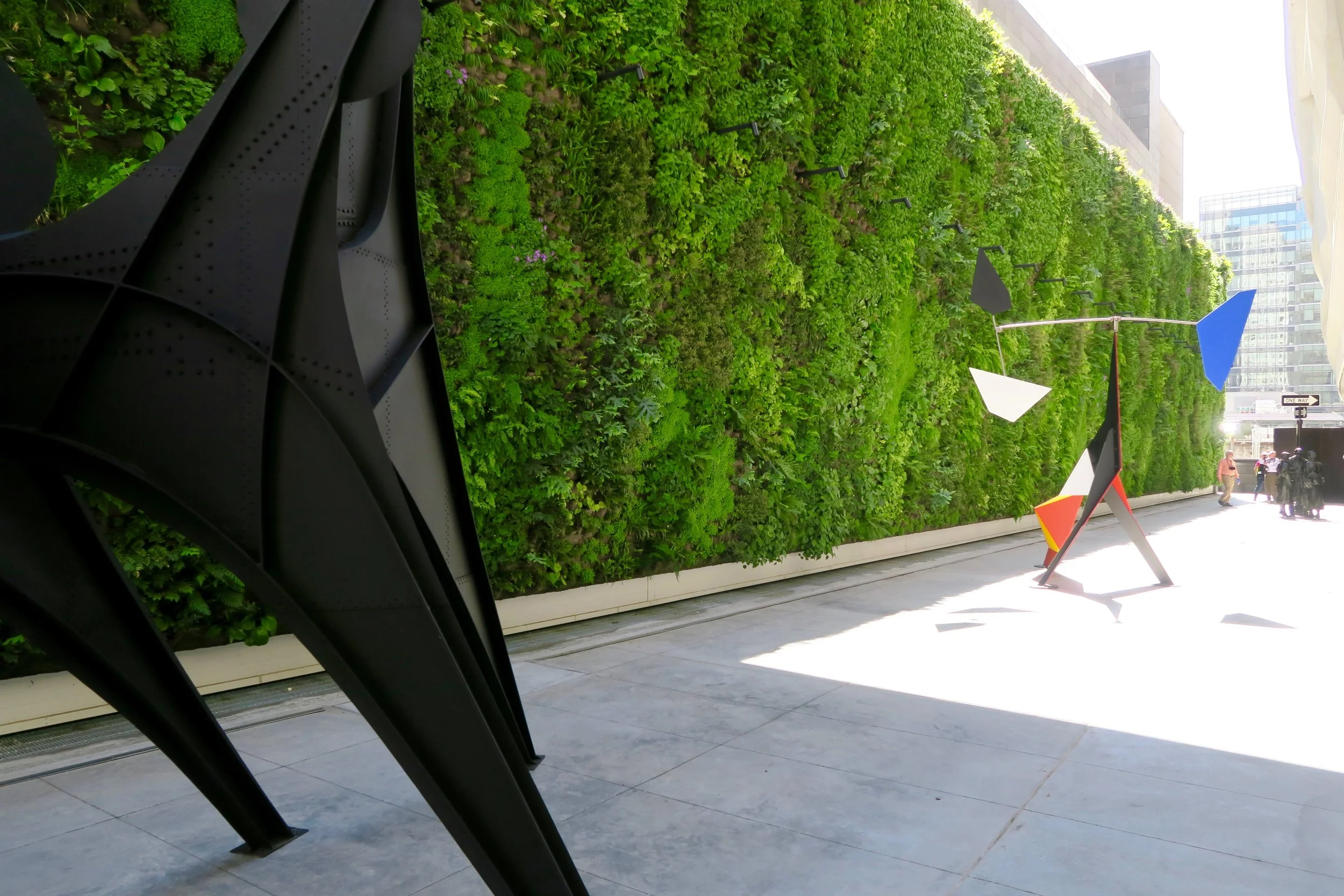 SFMOMA Sculpture Garden