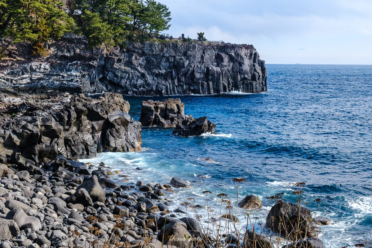 20190126-DSCF4115.jpg