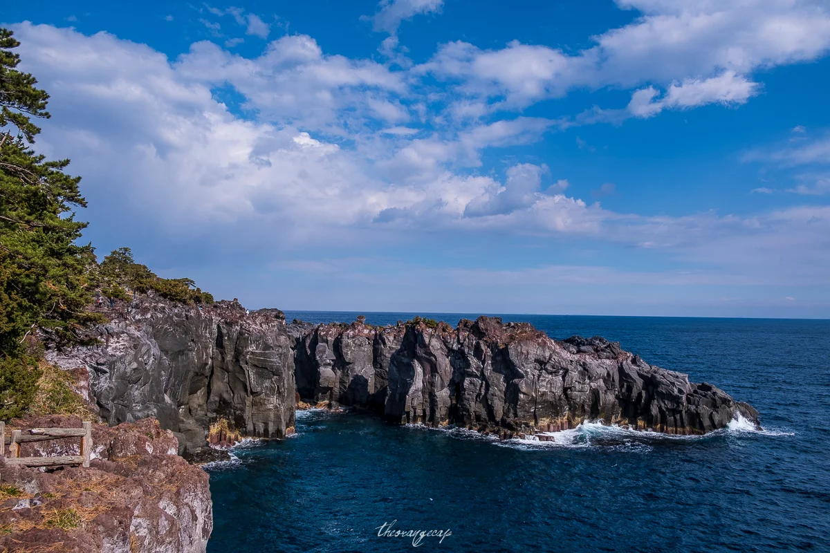 20190126-DSCF4195.jpg