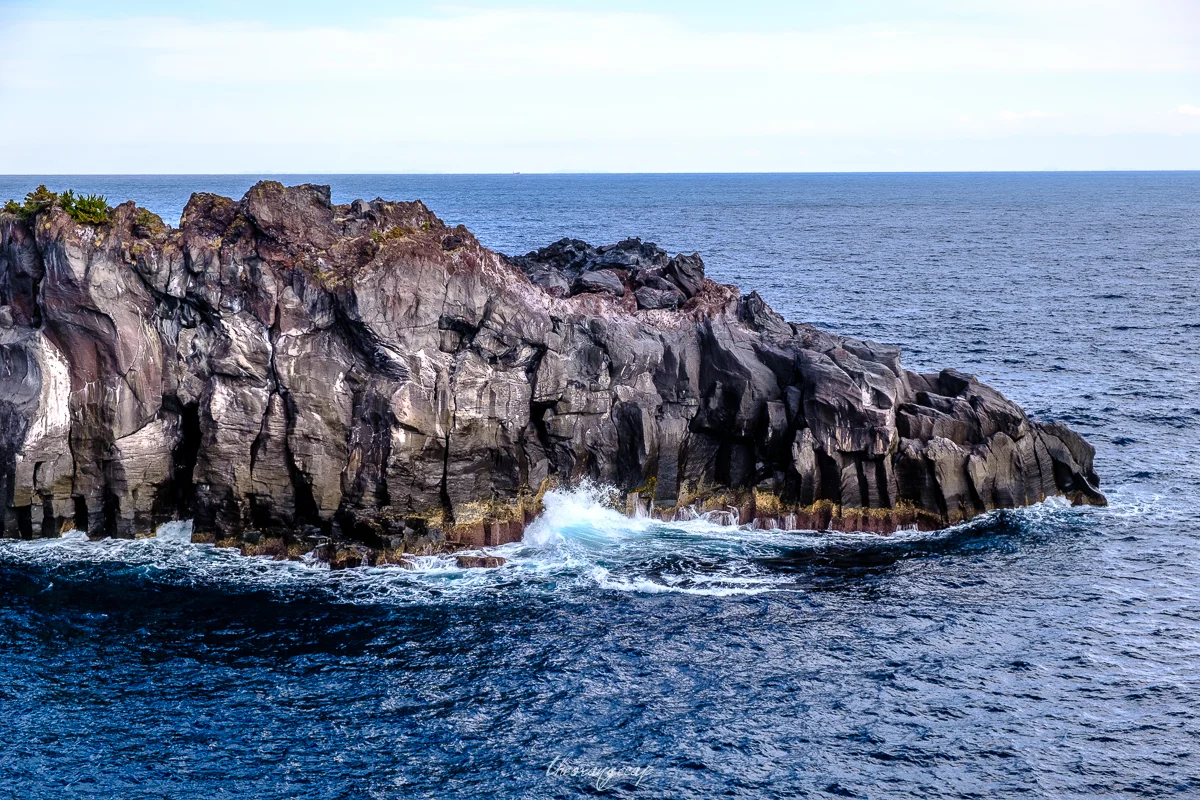 20190126-DSCF4177.jpg