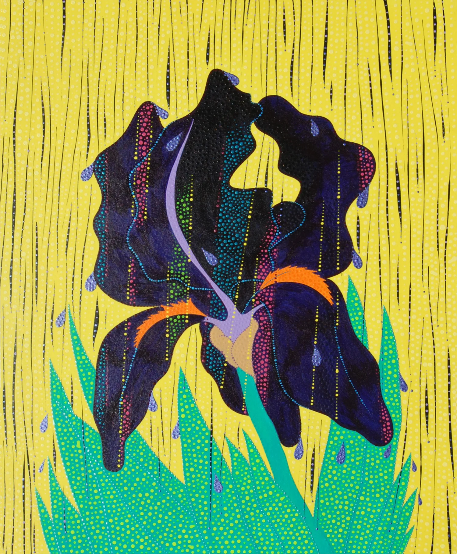 Black Iris Purple Rain