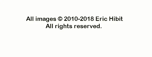 Copyright.jpg