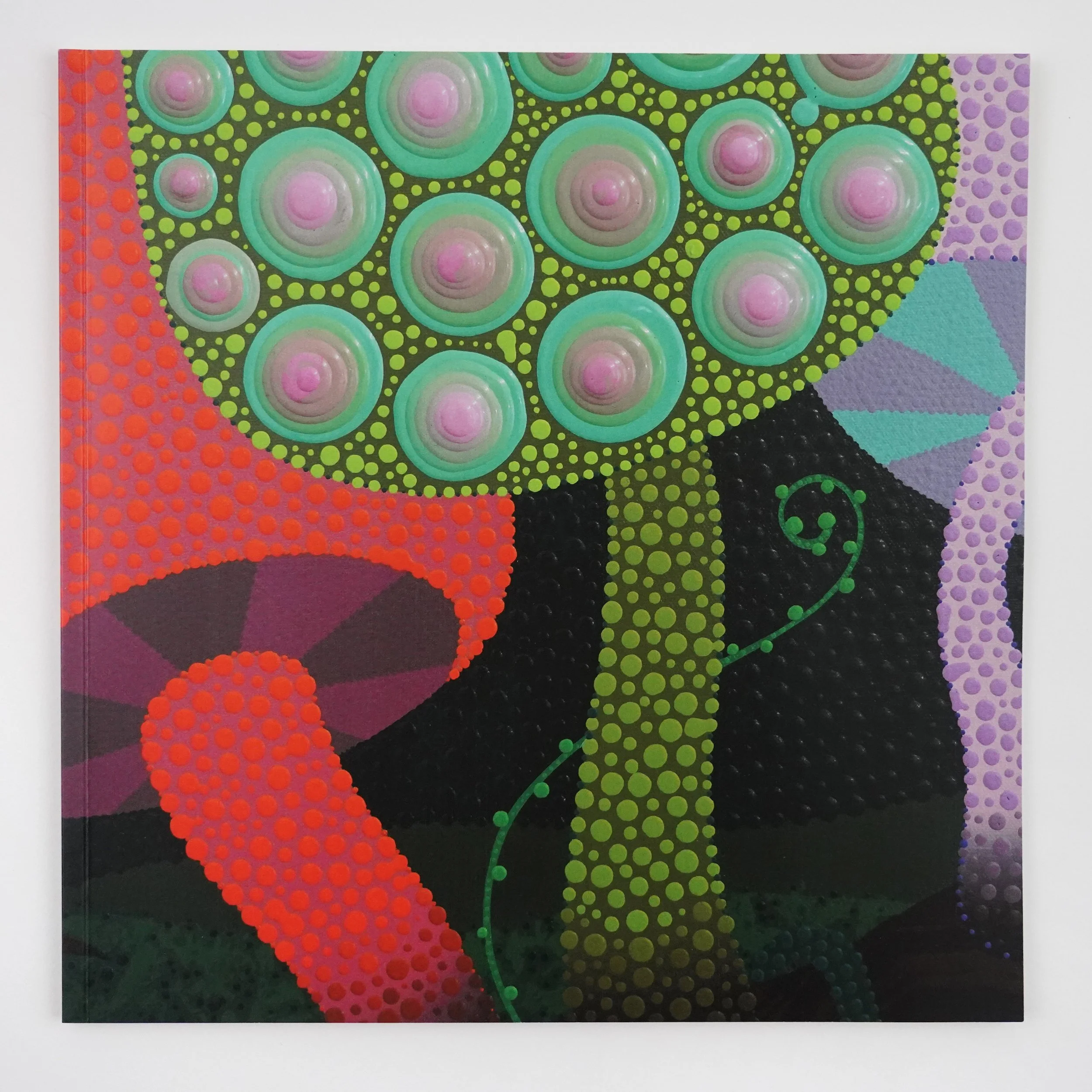 The Spontaneous Garden exhibition catalog with essay by Chris Bogia