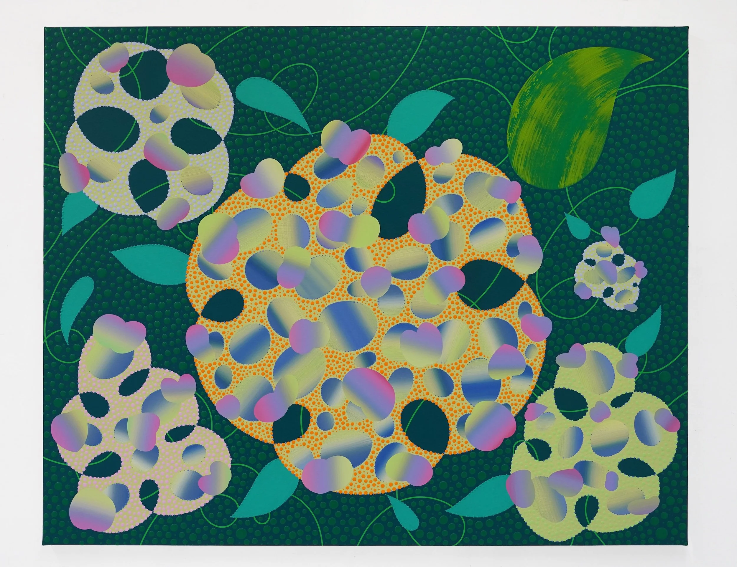 Subjective Hydrangeas