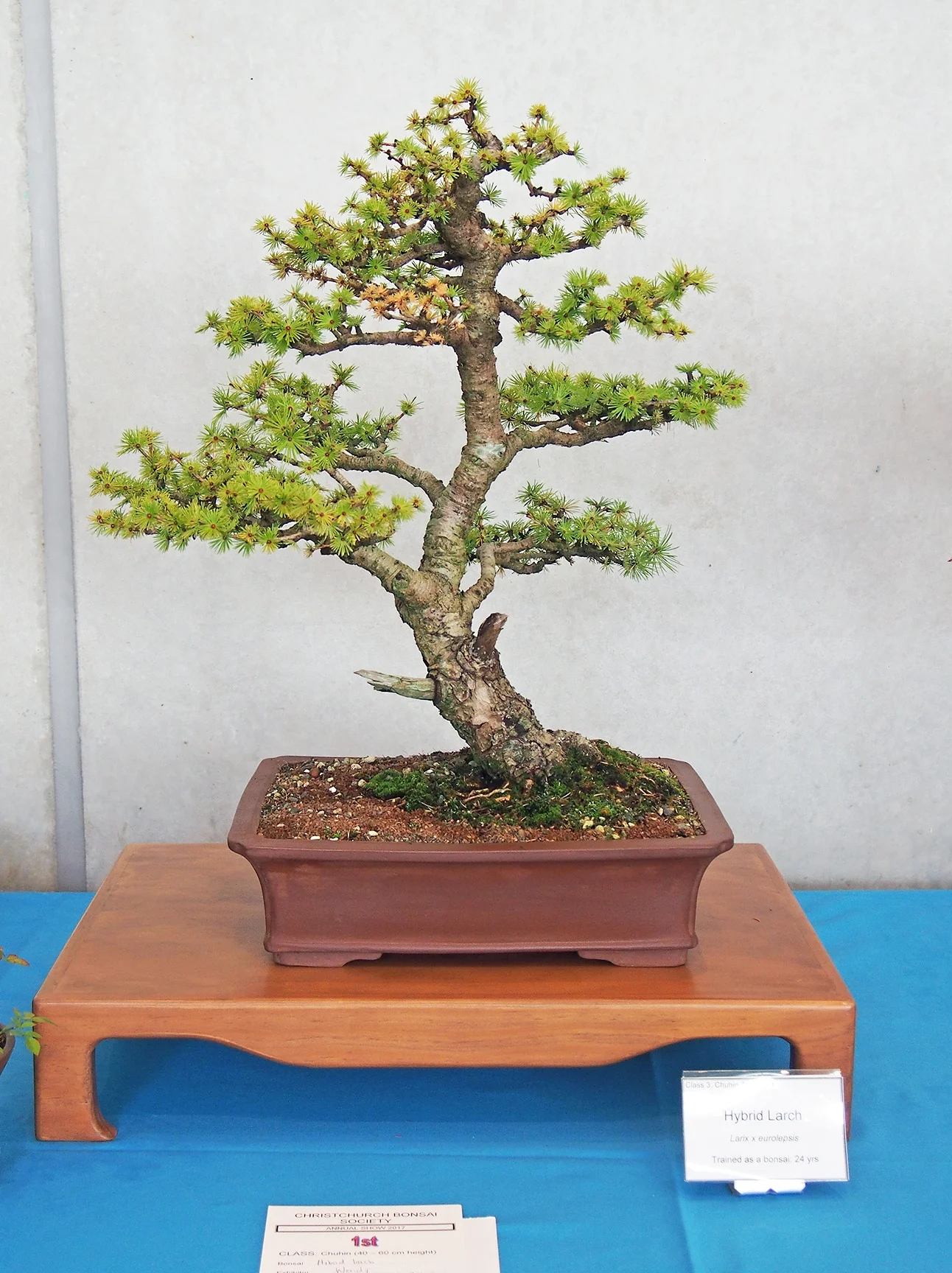 class 3 chuhin 1.jpg