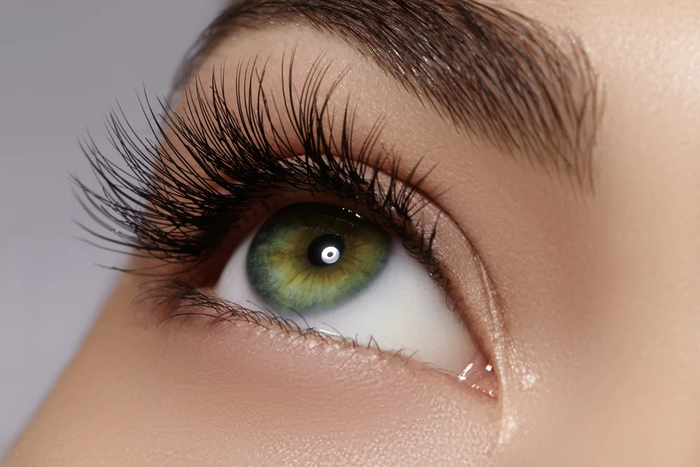 shutterstock_653922058.jpg