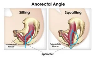 squat to poop.jpg