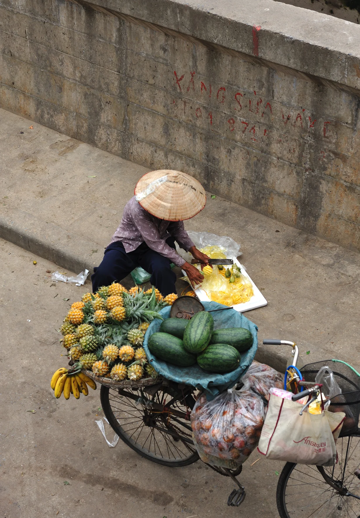 D70_9305.jpg