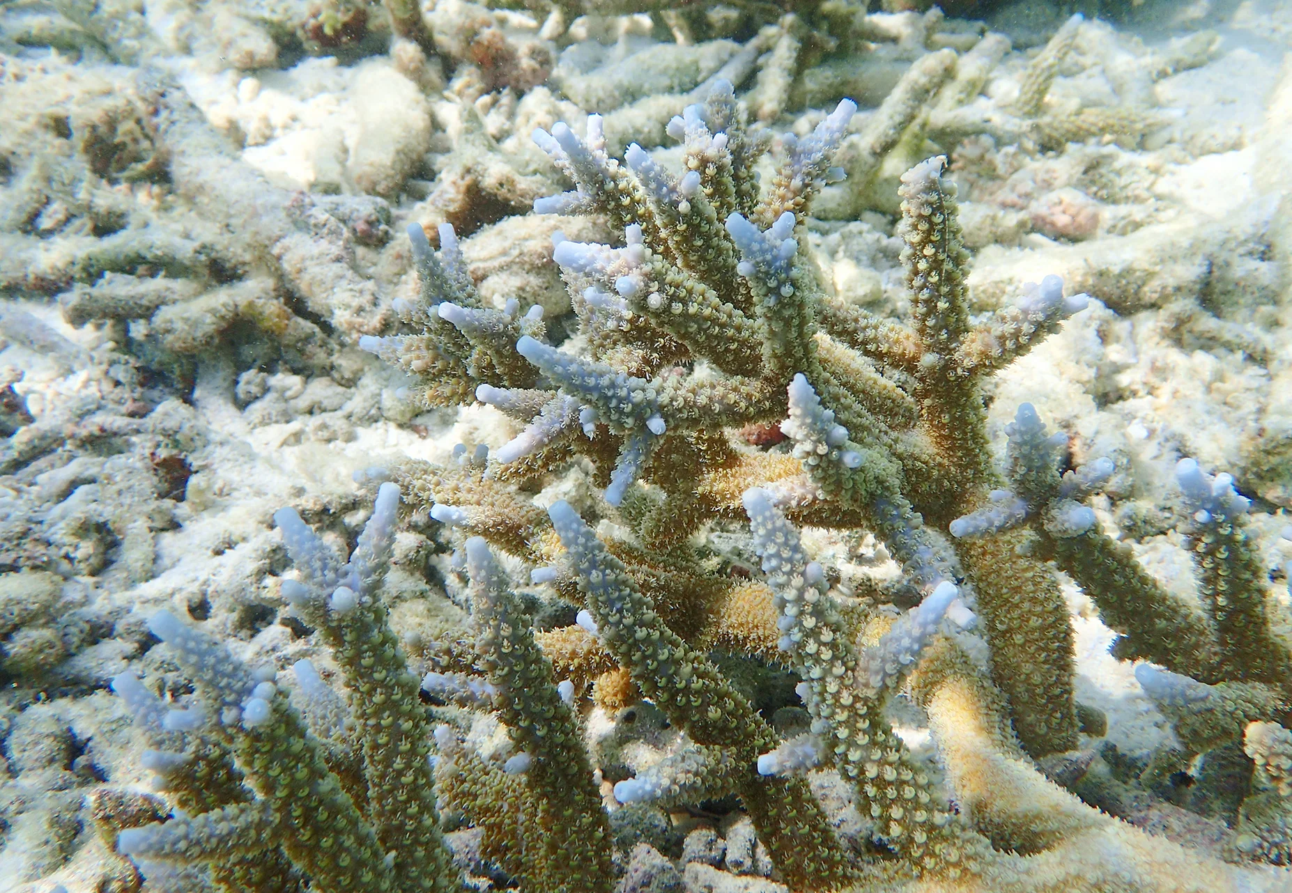 P1150698_00001.jpg