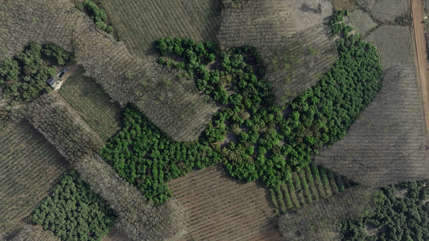 DJI_0787 copy.jpg