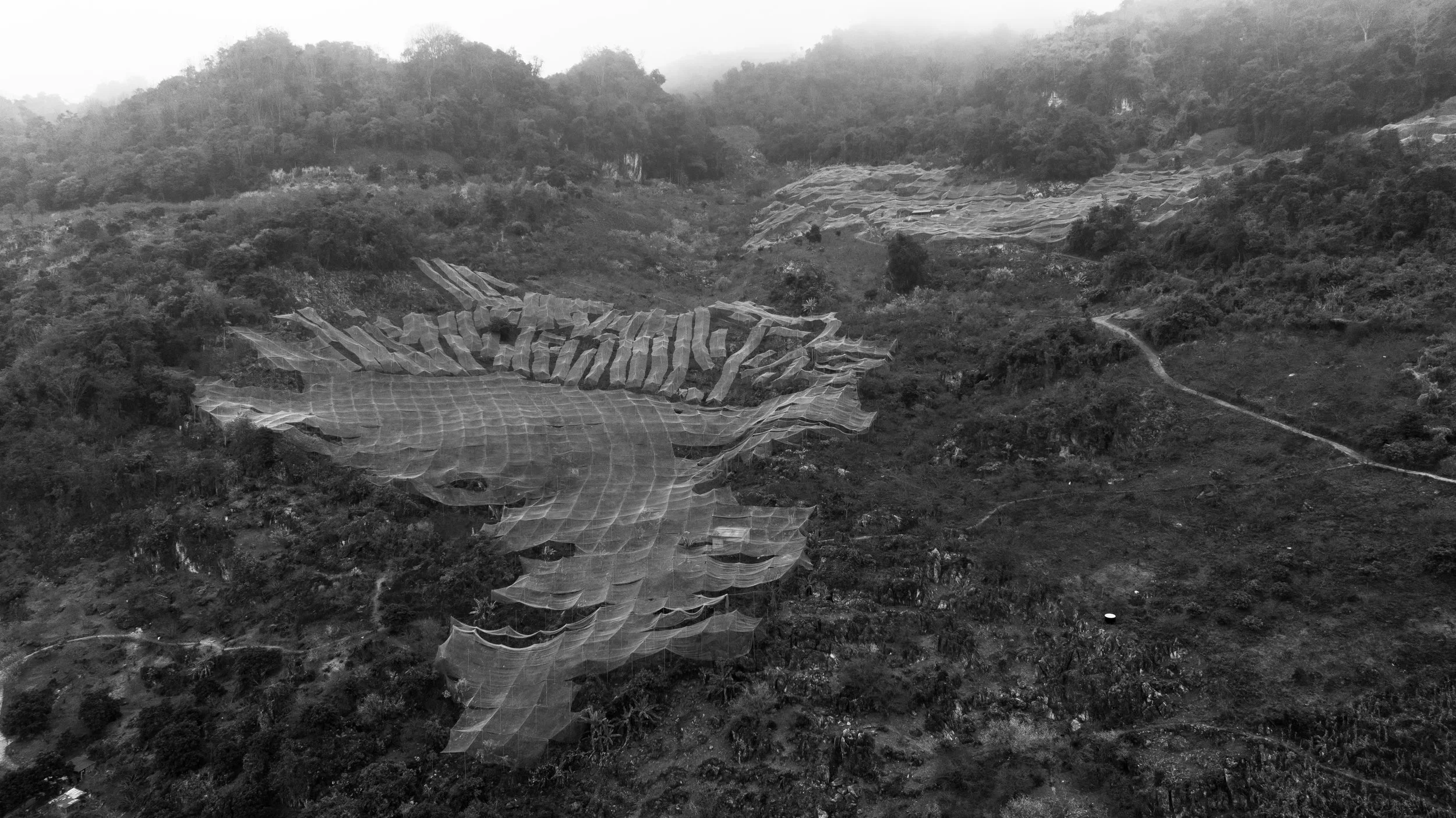 DJI_g0601 copy.jpg