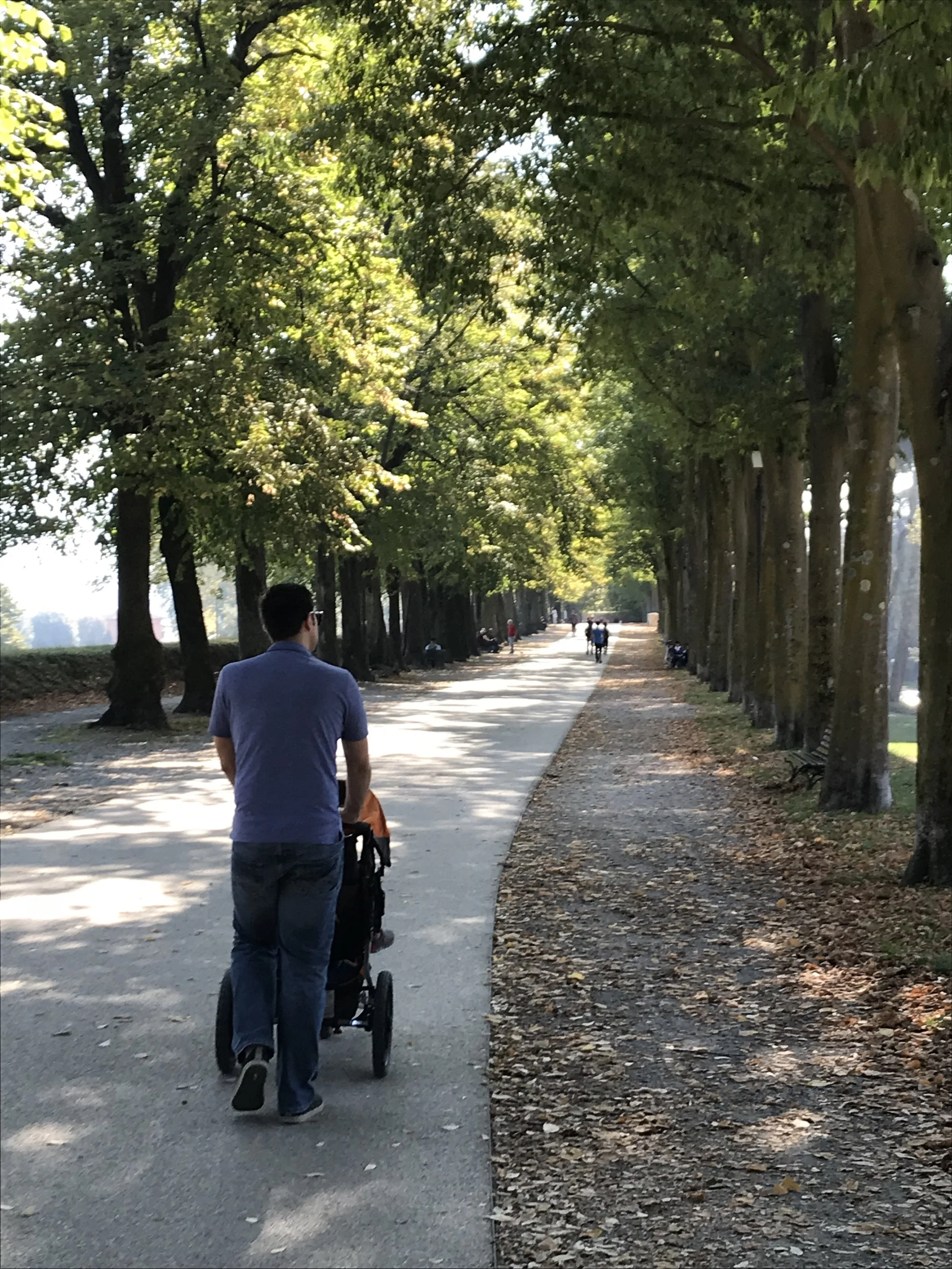 My husband pushing the stroller along the ancient walls of Lucca which is now a perfect walking loop!