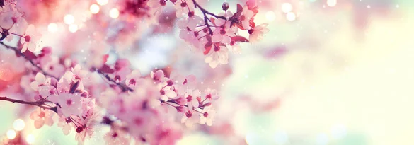 732f83a1-2a97-4181-83b6-6c9ee9ad1b91.jpg