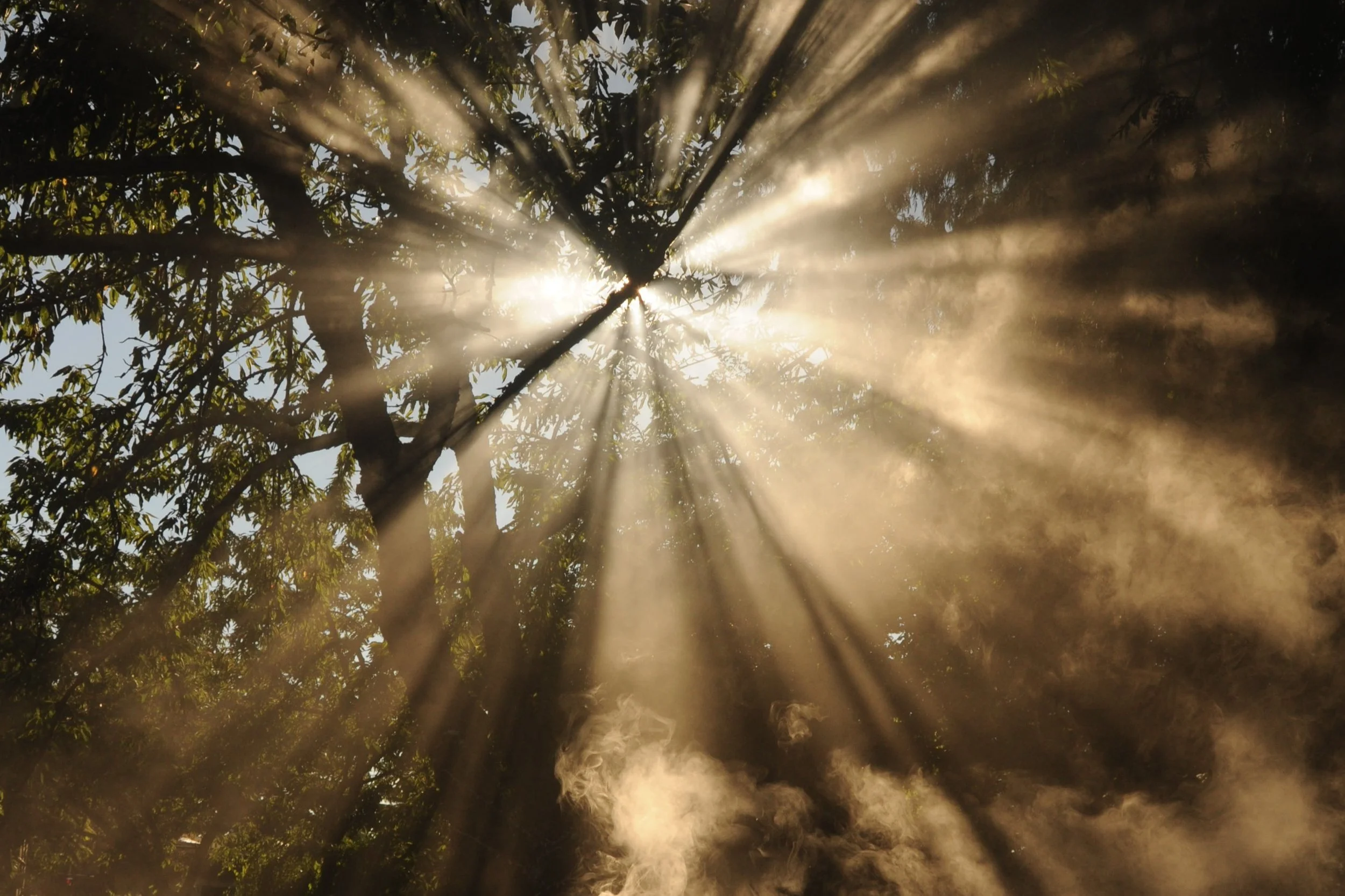 Sensing your boundaries and growing in capacity to support yourself