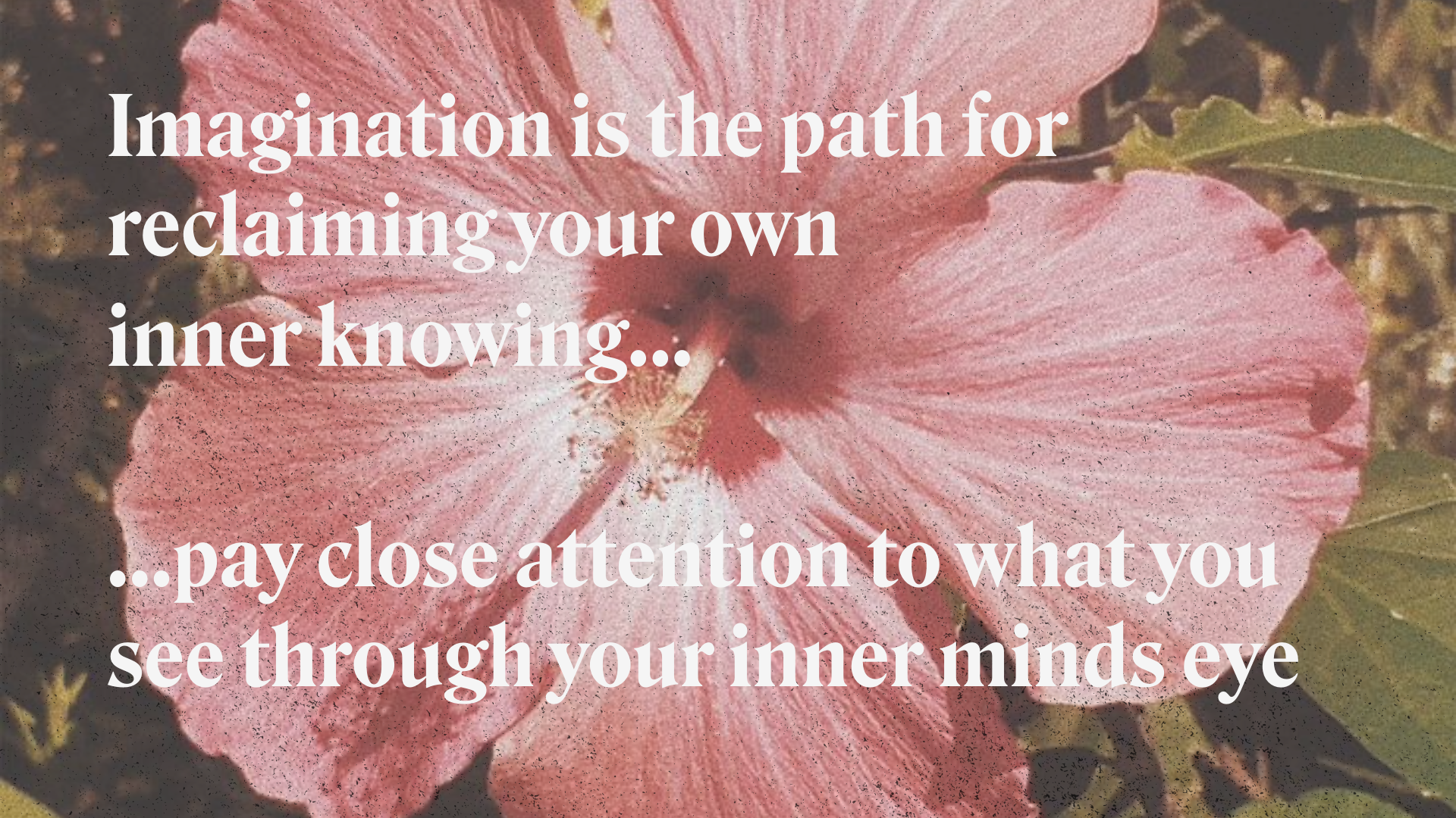 Imagination, inner knowing and business