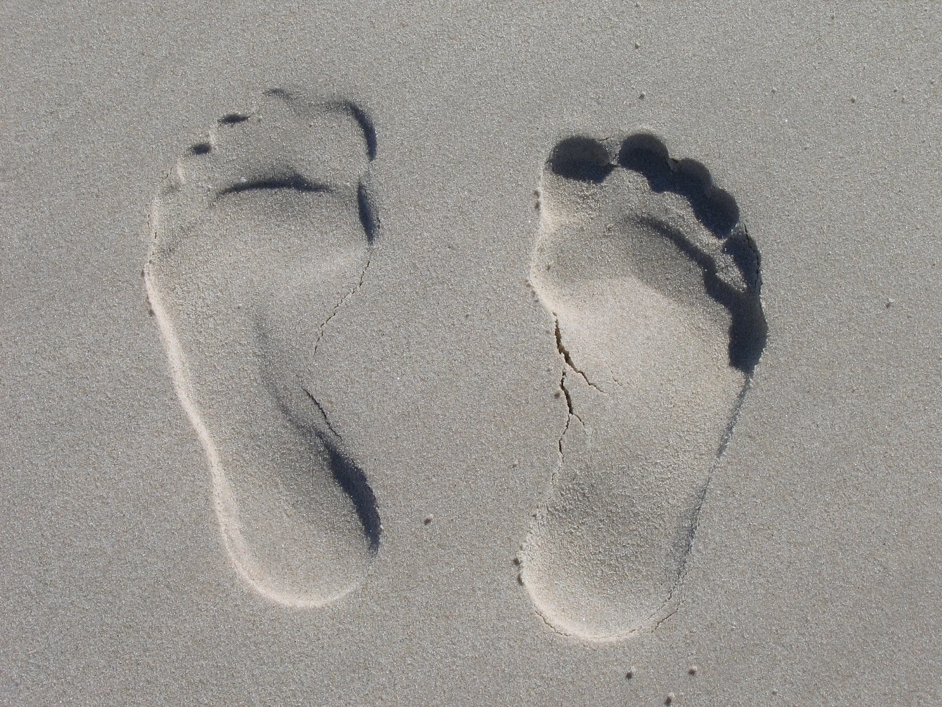 insole.jpg
