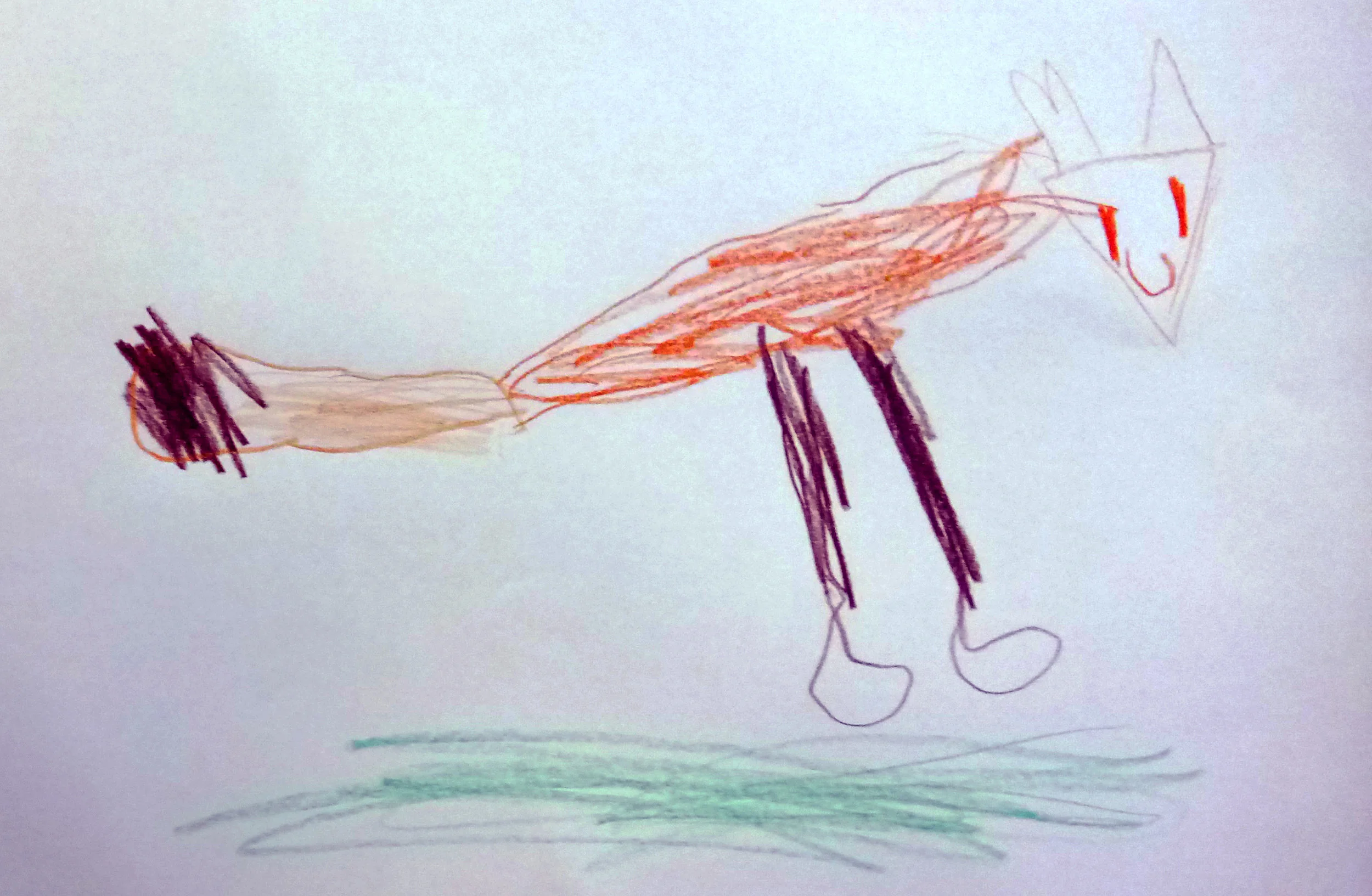 Aurelien (5)
