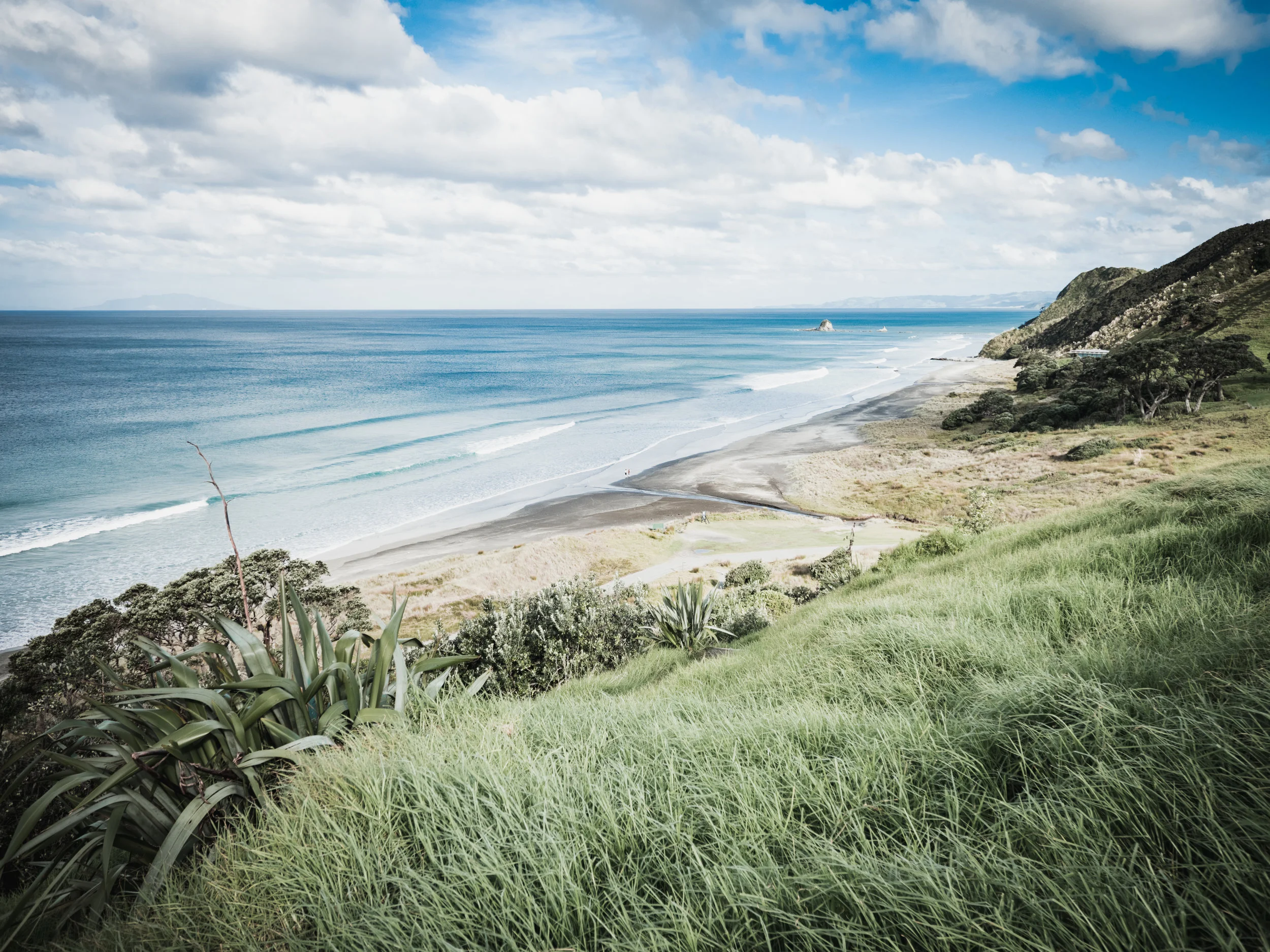 nz (1 of 2).jpg