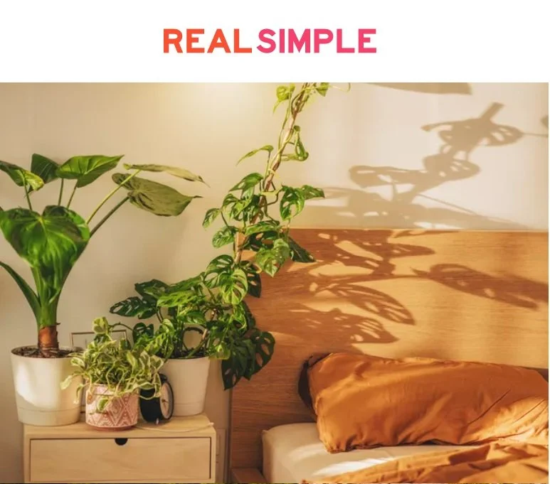 These Are the Best Plants to Keep in Your Bedroom — Adrienne Jordan