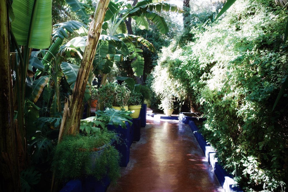 jardin majorelle marrakech-7.jpg