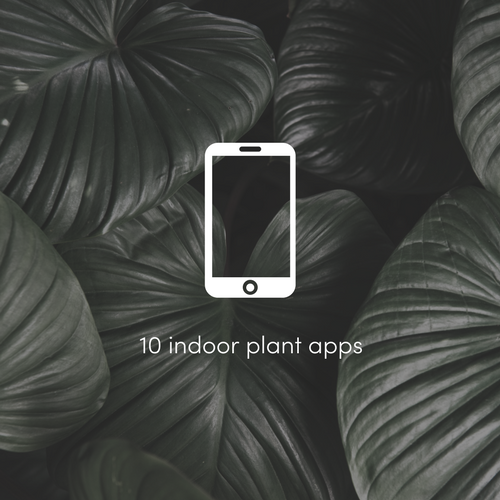 10 best indoor plant apps.png