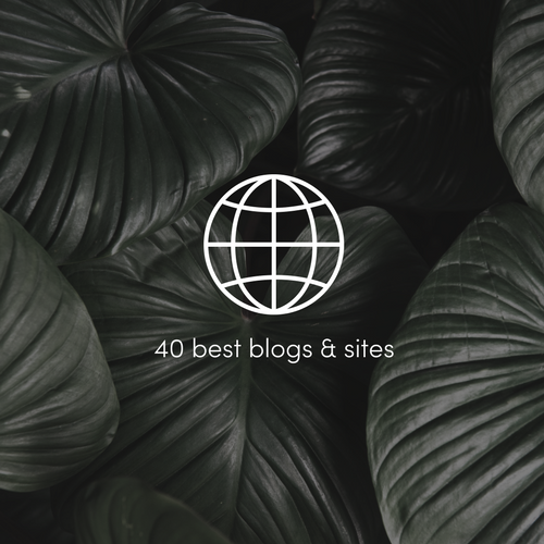 40 best indoor plants blogs and sites.png