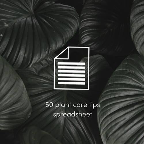 50 plant care tips spreadsheet.png
