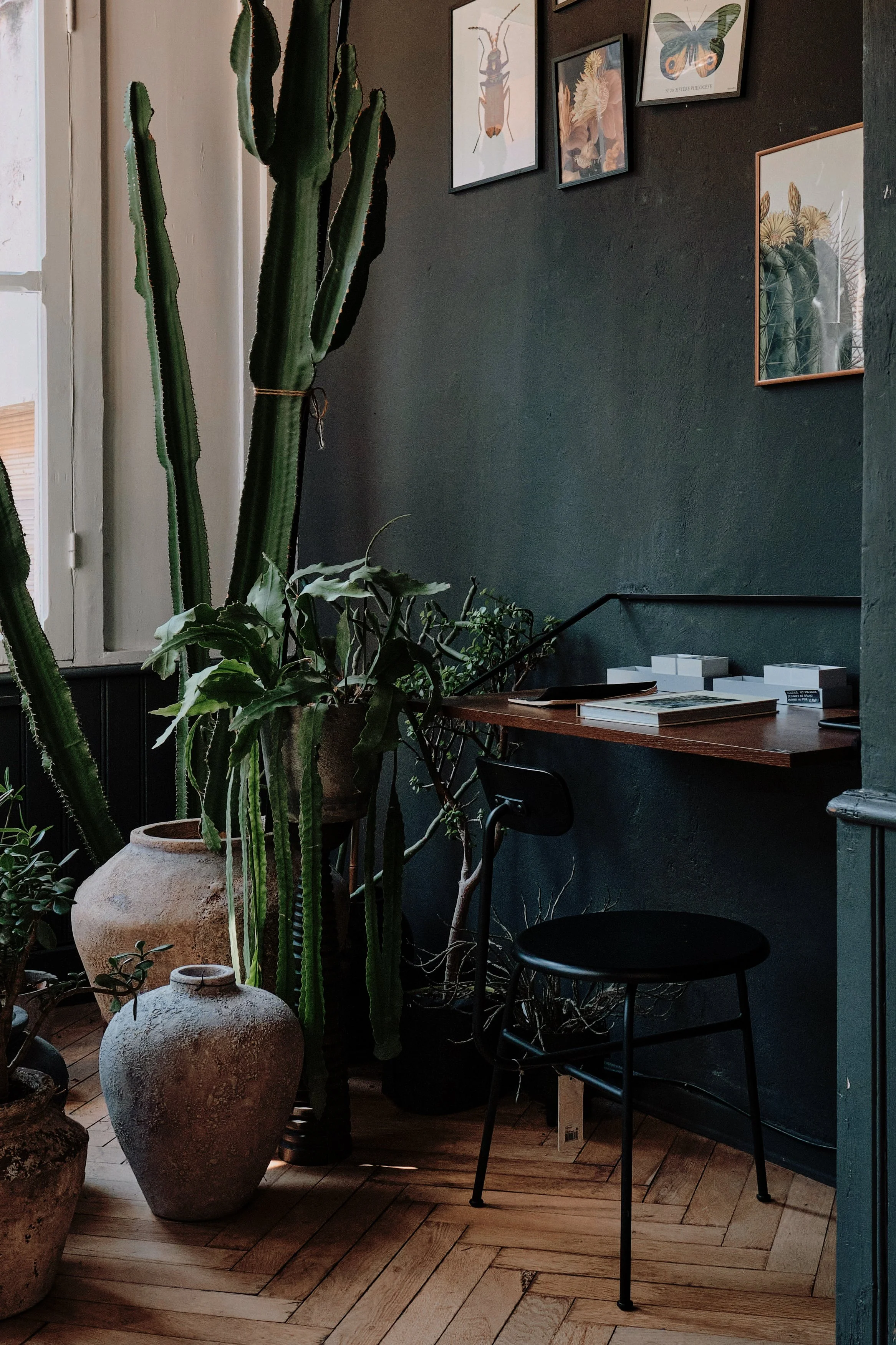 The Top 5 Office Plants For Your Home Office — Floralogist
