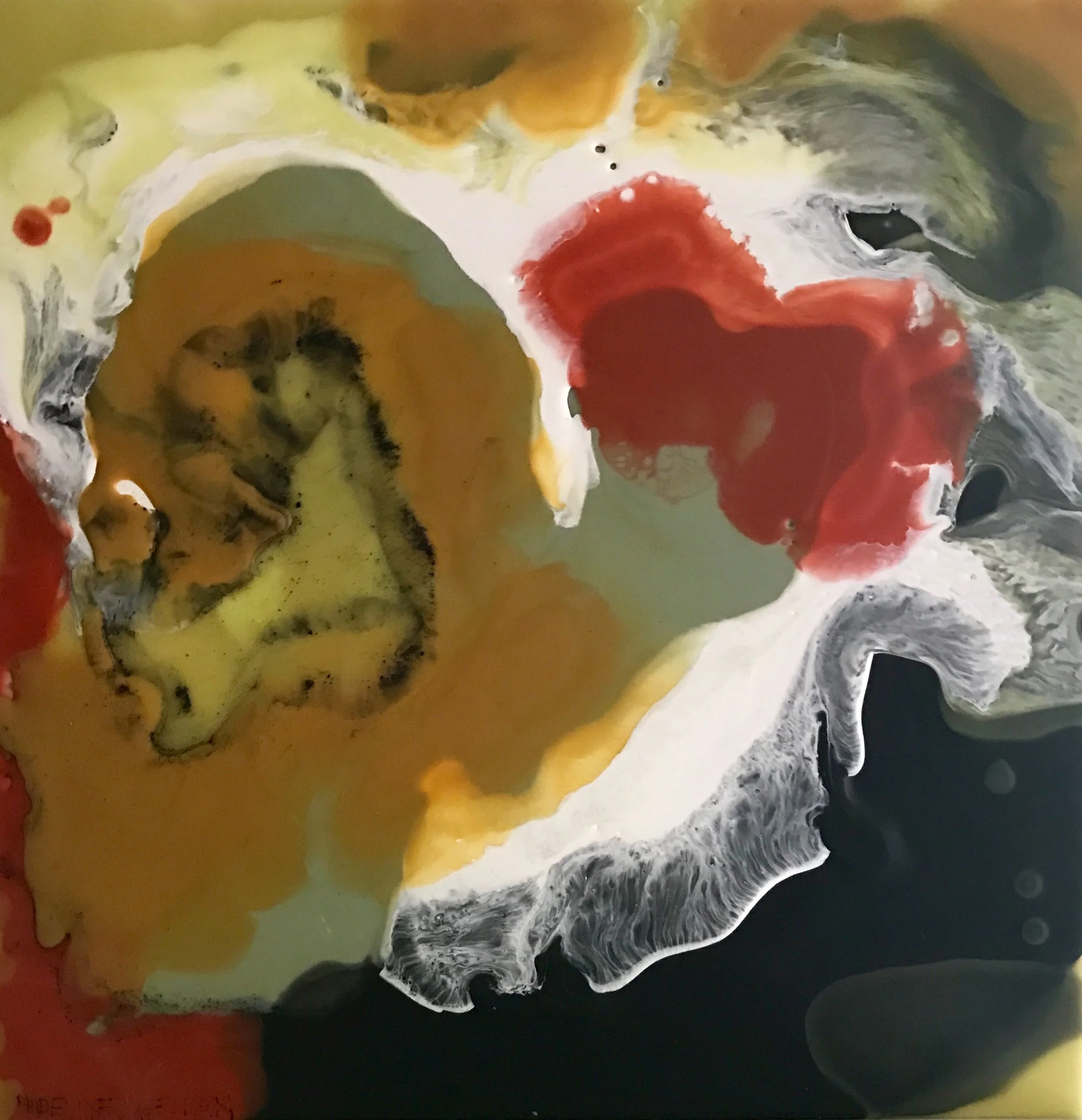 CONTIGUITY II