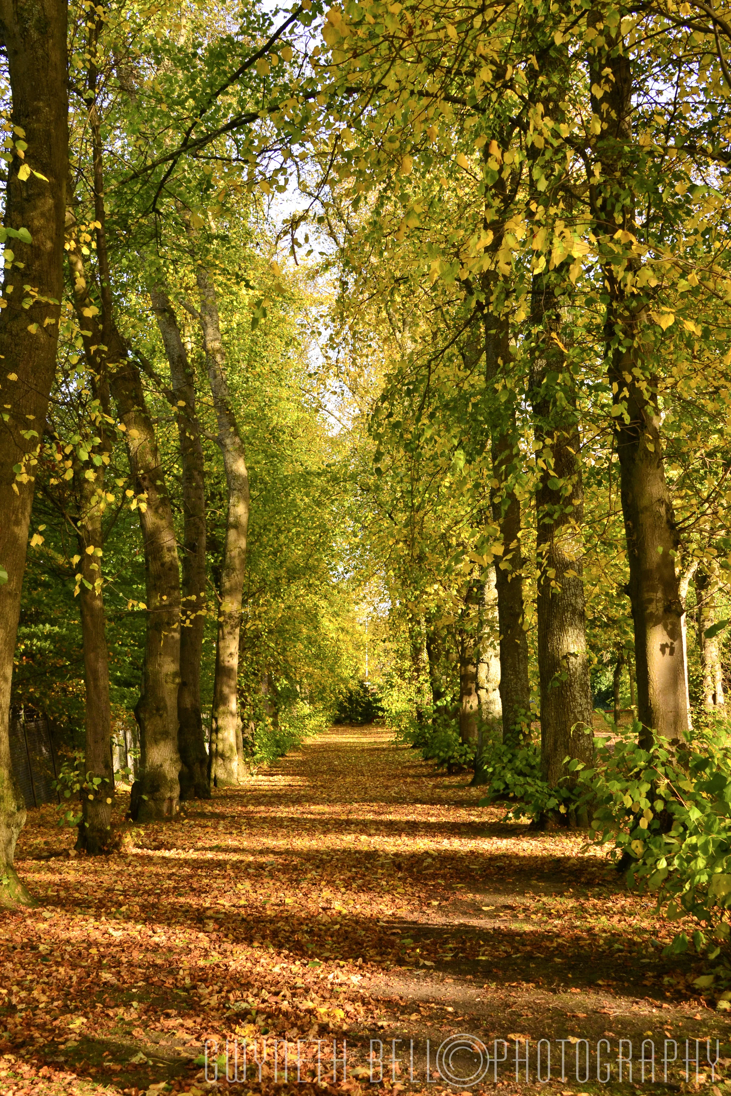 Bellahouston Park