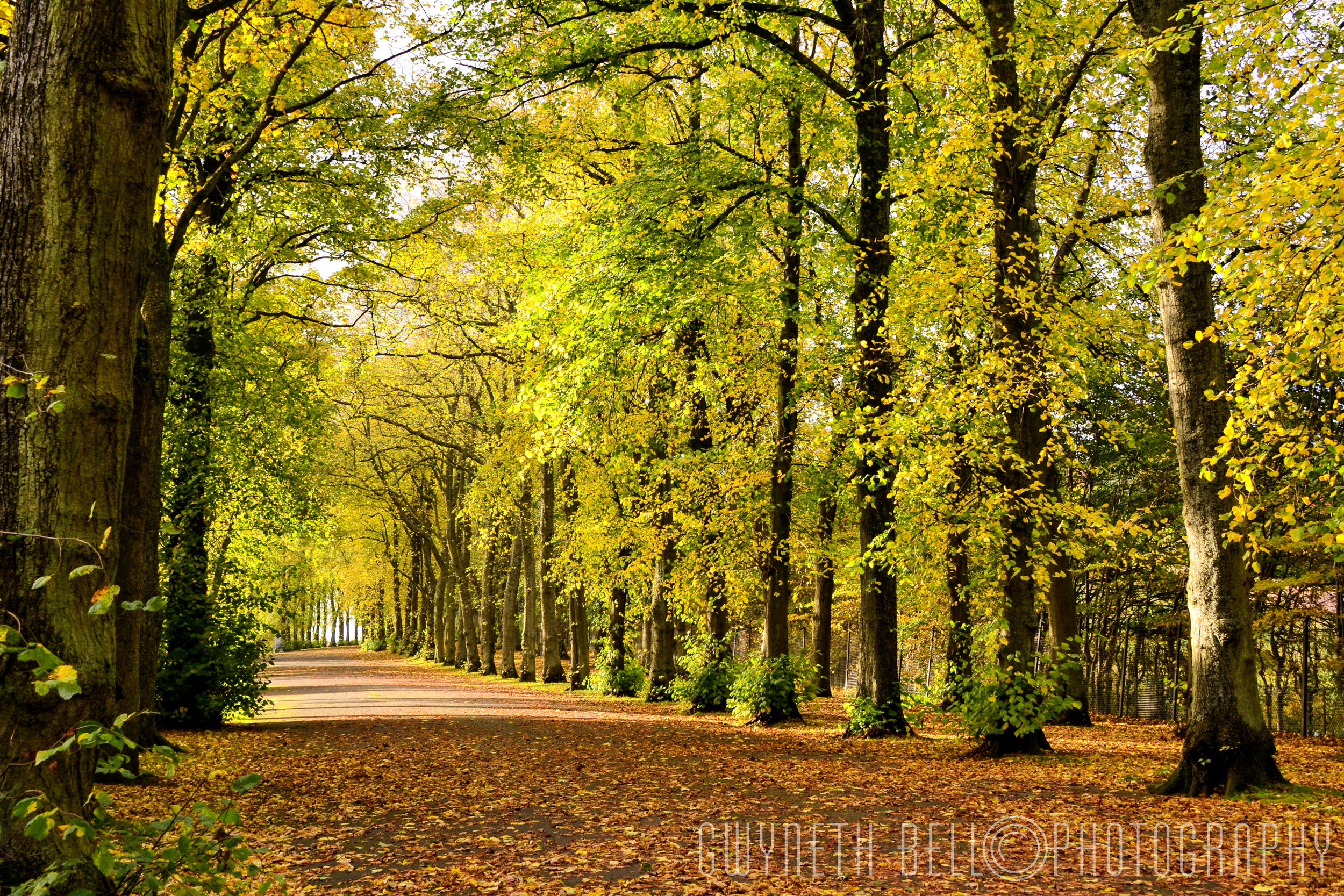 Bellahouston Park