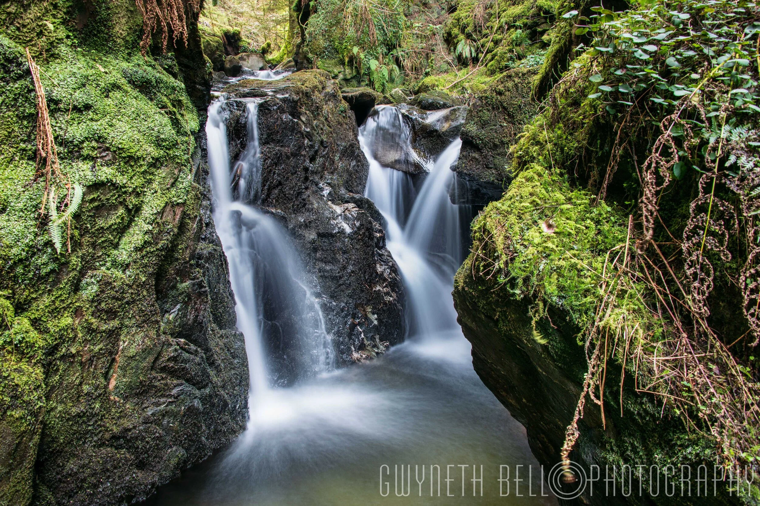 Puck's Glen, Dunoon