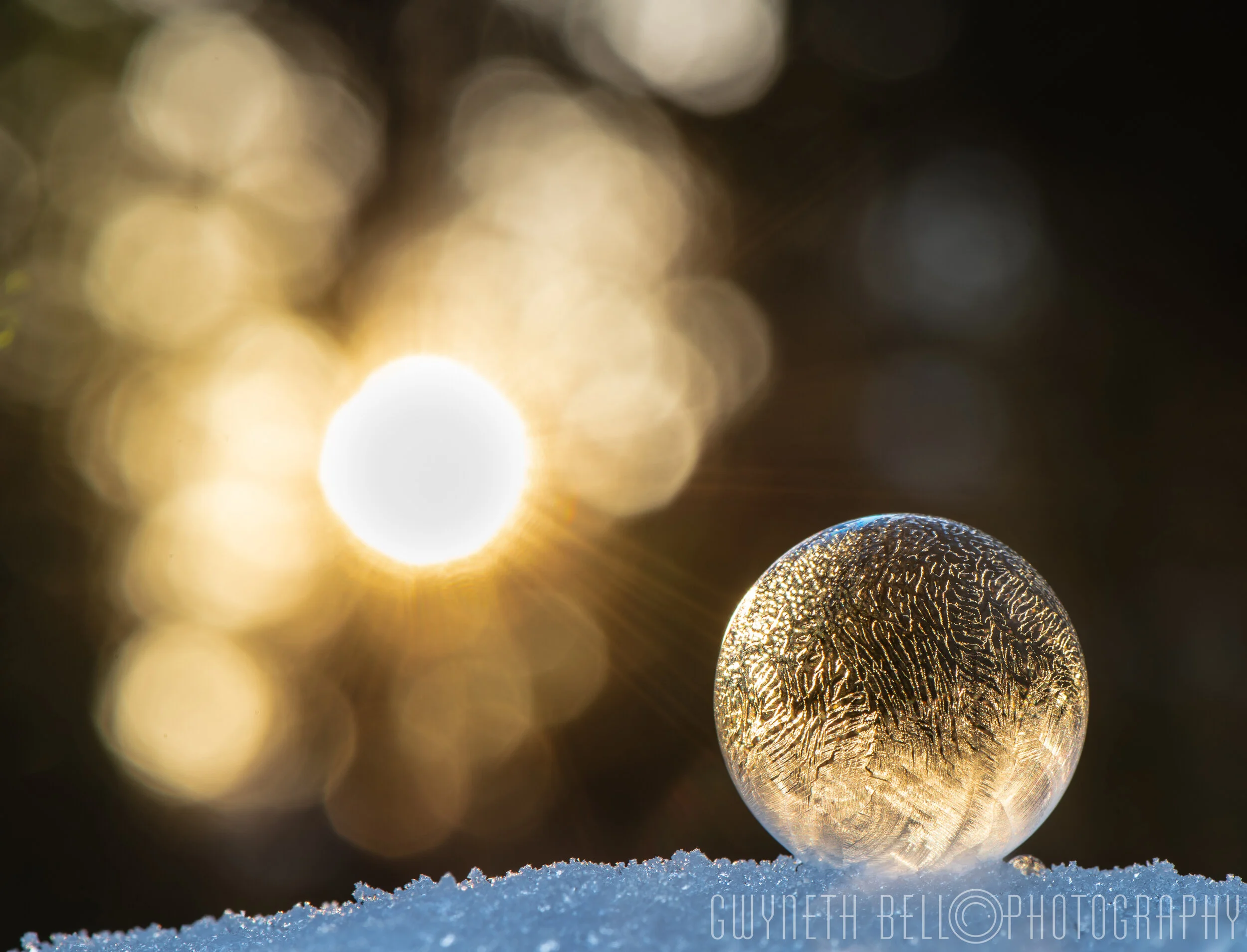 Ice Bubble at Sunrise